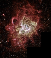 Firestorm of Star Birth Seen in a Local Galaxy NGC  