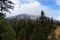First dusting of snow in the Sierra yesterday North of Lake Tahoe near Mt Rose 