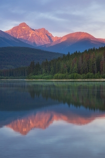 First light awakens the mountains - Jasper Canada  x