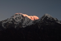 First rays of sun on Mt Annapurna in Nepal 