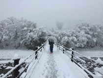 First Snow in Shirakawa Japan 