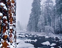 First Snow Merced River Nov  Yosemite   X 