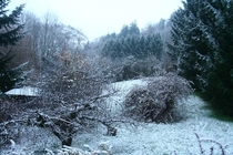First snow of season today Austria 