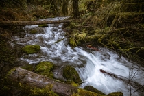 Flowing through Olympic National Park 