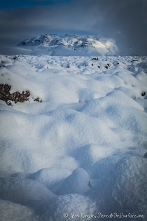 Fluffy Christmas snow on the lava fields by the south coast of Iceland 