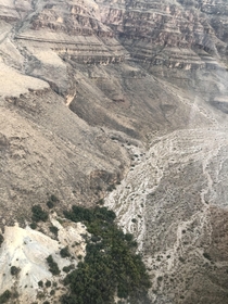 Flying through Grand Canyon -   x 