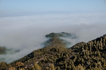 Fog across the Montserrat valley in Barcelona 