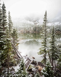 Fog and snow came together here as I was looking for old Nessy Loch Lake in Rocky Mountain National Park Colorado 