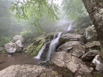 Fog in Shenandoah National Park VA USA 