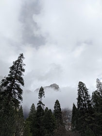 Fog in Yosemite this morning 