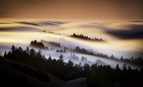 Fog moving through the hills of Marin County CA OC x