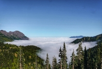Fog over Olympic National Park Washington 