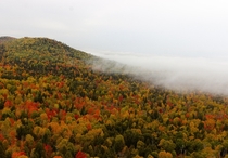Fog rolling in off of Lake Superior this fall at Oberg Mountain MN 