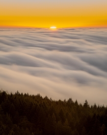 Fog Rolling like Whip Cream over Mill Valley as the Sun looks like a Ball of Fire Mt Tamalpais State Park California 
