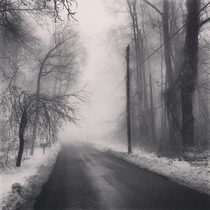 Fog swallows a snowy backroad in Northern Virginia  OC