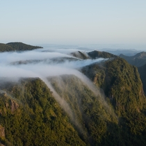 Fogfalls below the Pinnacles Coromandel New Zealand 