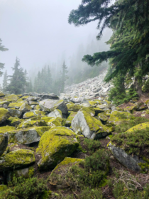 Foggy hike season in Washington  hikedailyprn