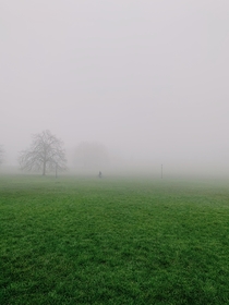 Foggy London this morning