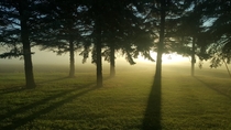 Foggy Minnesota morning taken by my wife - Wendell MN 