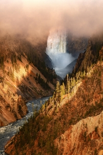 Foggy morning in Yellowstone National Park 