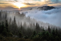 Foggy sunset before the fires at Hurricane Ridge Olympic National Park 