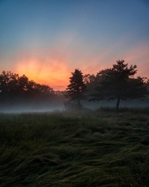 Foggy sunset in Cuyahoga Valley National Park Ohio 