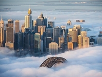 Foggy Sydney Morning  July 