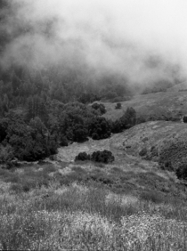 Foggy Valley inland from Big Sur CA Shot on film 