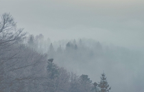 Foggy winter morning Slovenia 