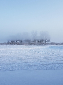 Foggy winter morning Southern WI 