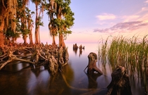 Fontainebleau State Park Louisiana - Shot by me austin_j_lewis 
