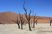 For a place called Dead Vlei Namibia I think its beautiful 