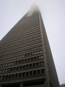 For my cake day my favorite picture that Ive ever taken of my hometown The Transamerica Pyramid in San Francisco CA 