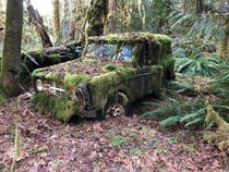 Ford Bronco left to rot in the forest 