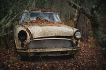 Ford Consul left in the woods  by Lukasz Malkiewicz
