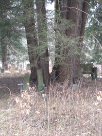 Forgotten cemetery in the woods