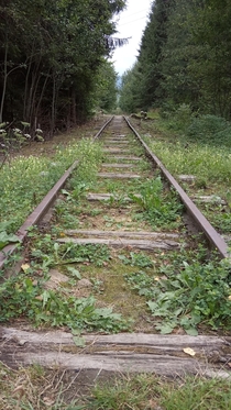 Forgotten railway used by th century miners