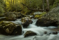 Forney Creek Great Smoky Mountains National Park - 