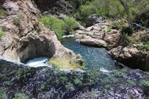Fossil Creek Arizona 