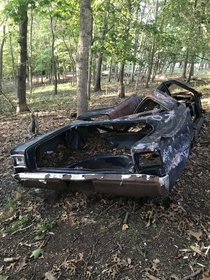 Found a old ruined car while walking in the woods