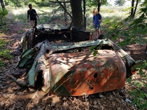Found an old car from the s in the woods