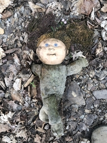 Found in the woods