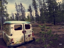Found this beautiful van abandoned hidden in the forest Northern Canada First time posting here Should I post another vantage point of the same vehicle