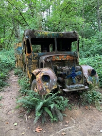 Found this gem when I went hiking in my neighborhood Can anyone tell me what kind of truck it is and from what year