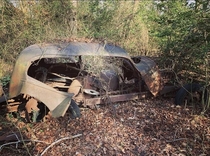 Found this last year on a hiking trail not far from the camp where I work in North East MD I dont know any details about the car sorry