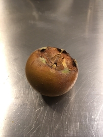 Found this one in Swiss What fruit is this
