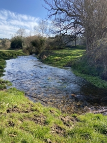 Found this shallow stream of water on the gentle slopes of Surrey Hills in Albury United Kingdom  x