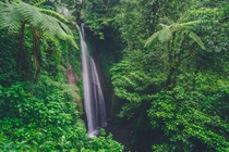 Found this small waterfall surrounded by lush greenery Nangka waterfall West Java Indonesia 