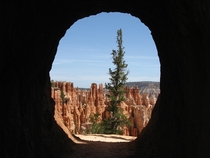 Framing is everything at Bryce Canyon National Park  x