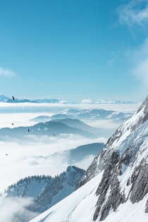 Freedom winter vibes Pilatus Switzerland  x